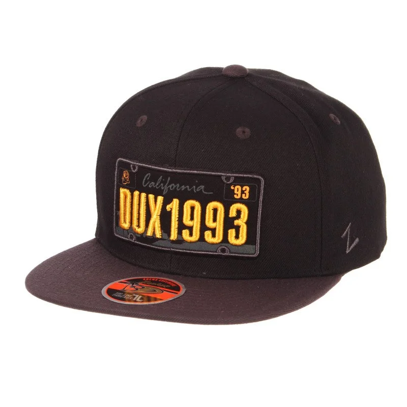 License Plate Cap